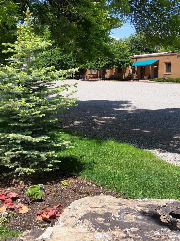 Stone Lizard Motel