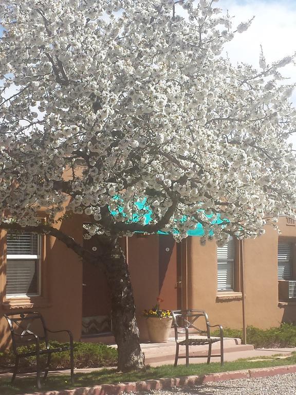 Stone Lizard Motel 3*